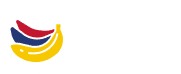 MICICON